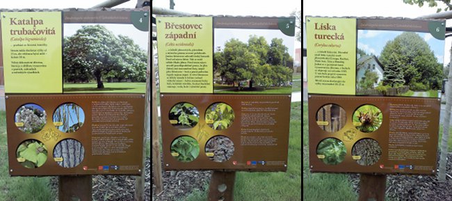 Cedule několika stromů v dendrologické stezce